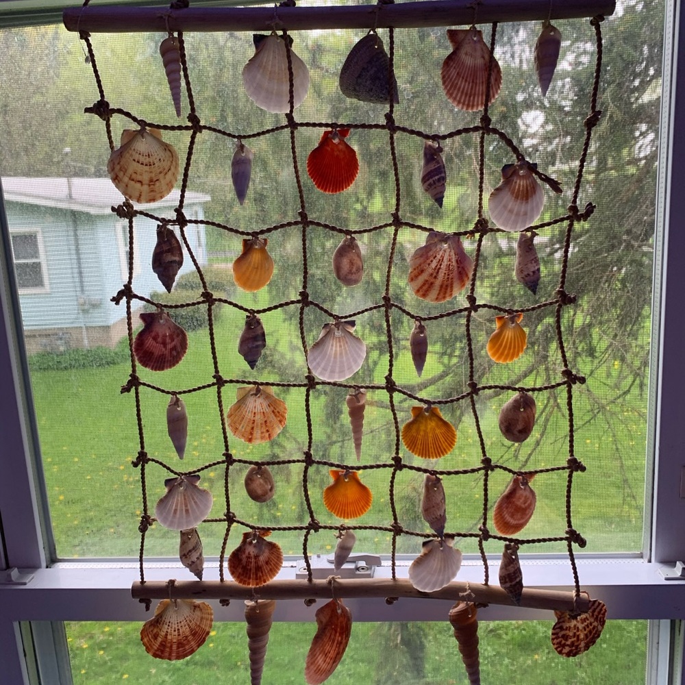 Seashell home decor, make an offer🦋